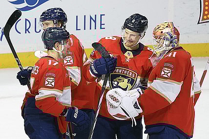 Florida panthers