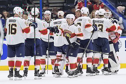 florida panthers