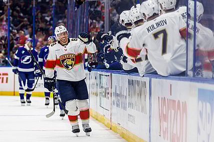 Florida panthers