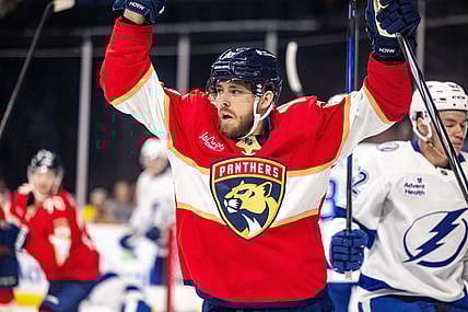 Florida panthers