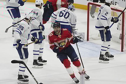 Florida panthers