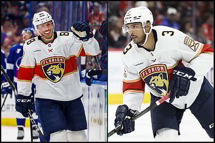 Florida panthers