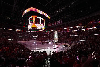 Florida panthers cup