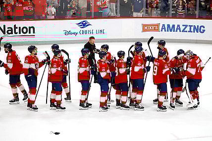 Florida panthers