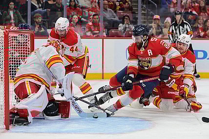 Florida panthers