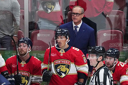 Florida panthers