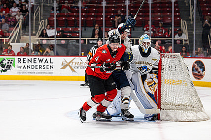 Charlotte checkers