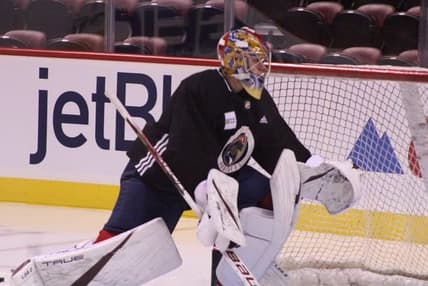 Florida panthers