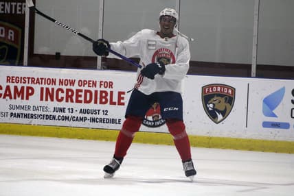 Florida panthers