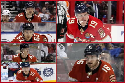 Florida panthers