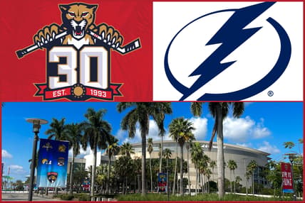 Panthers lightning