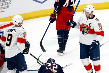 Florida panthers