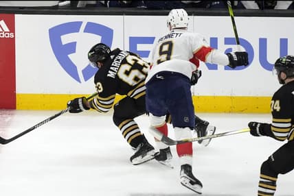 Florida panthers