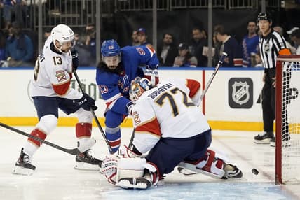 Florida panthers