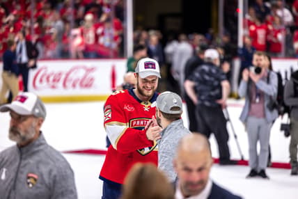 Florida panthers