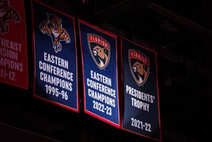 Panthers banner