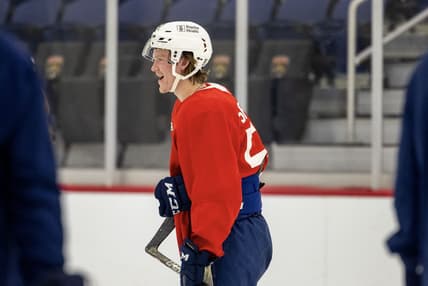 Florida panthers