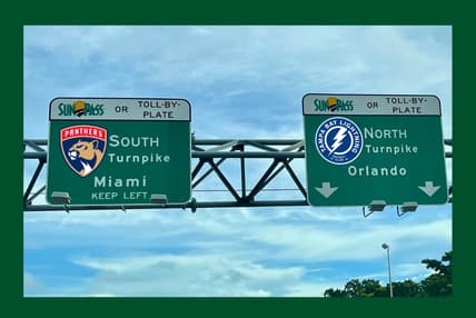 Florida panthers