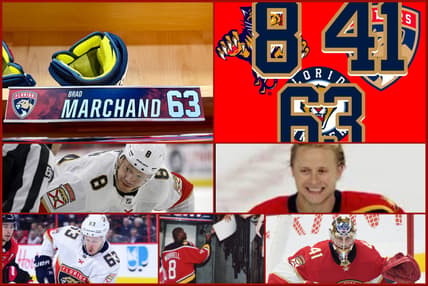 florida panthers