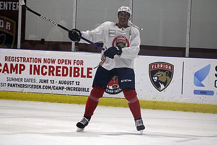 Florida panthers