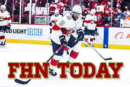 Florida panthers duclair