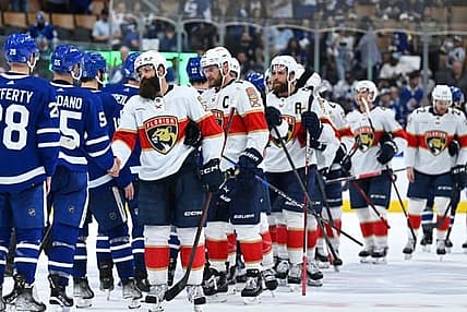 Florida panthers