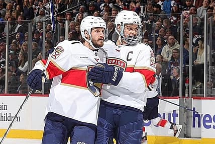 Panthers barkov