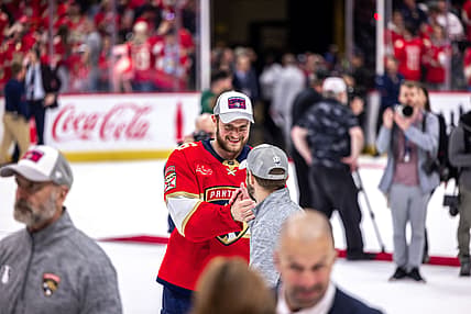 Florida panthers