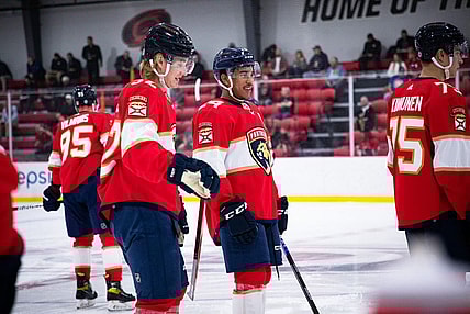 Florida panthers