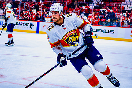 Florida panthers
