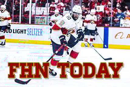 Florida panthers duclair