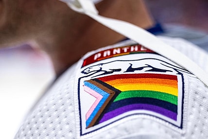 Panthers staal pride