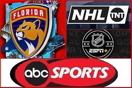 Florida panthers