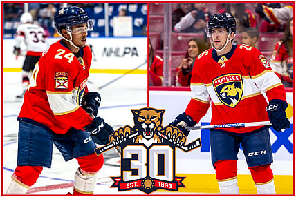 Florida panthers