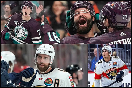 Panthers ducks