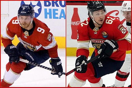 Florida panthers