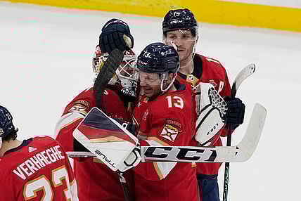Florida panthers