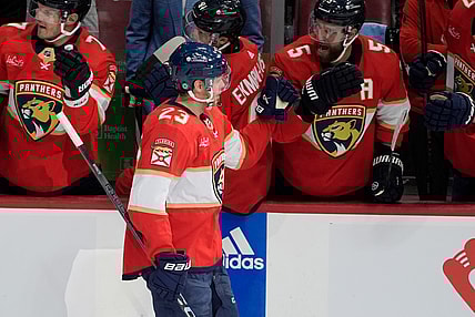 Florida panthers