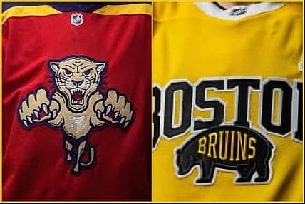 Panthers bruins