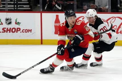Florida panthers