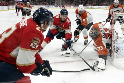 Florida panthers