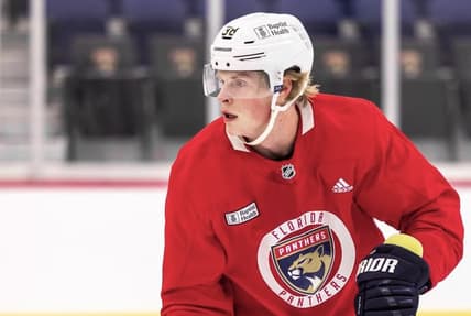 Florida panthers