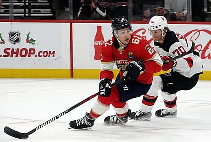 Florida panthers