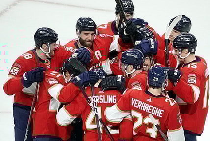 Florida panthers