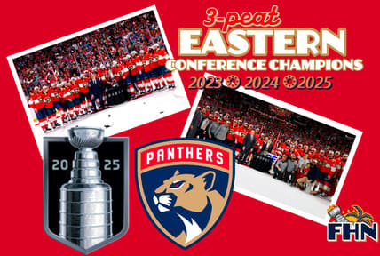 Panthers hurricanes