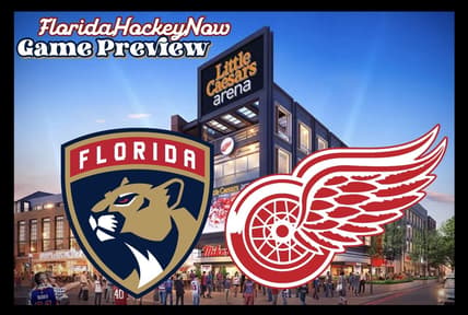 Panthers red wings