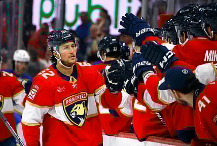 Florida panthers