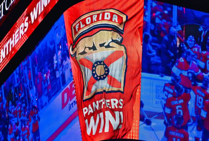 Florida panthers