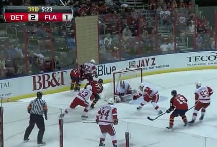 Florida panthers