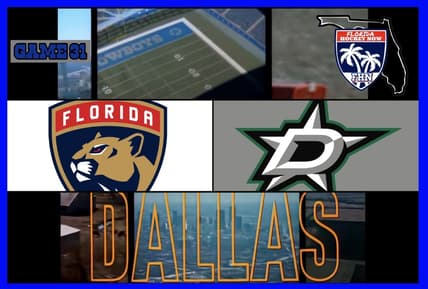 Stars panthers